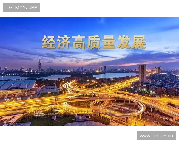 张家界企业家勇立时代潮头引领地方经济高质量创新发展